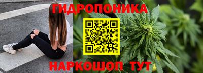 apvp Краснодар