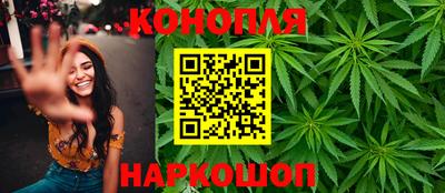 гидра Краснознаменск
